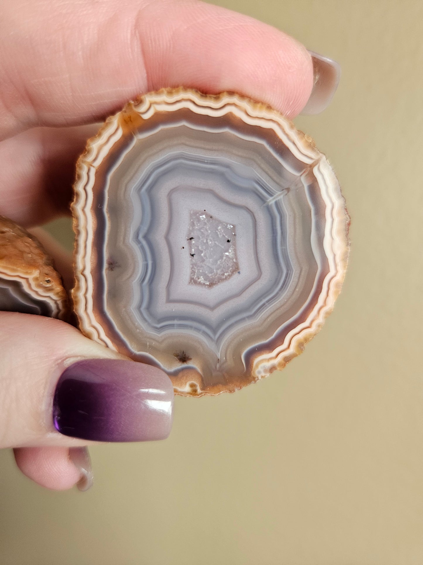 Zahnguo Agate Pair 240p