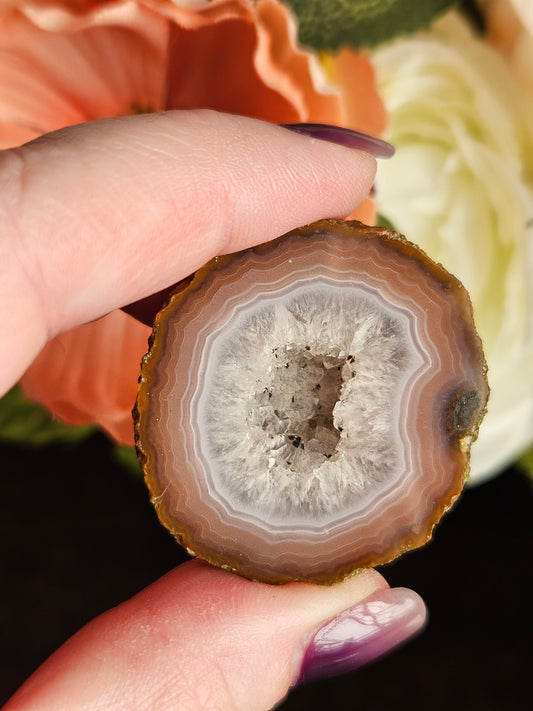 Zahnguo Agate Pair 116