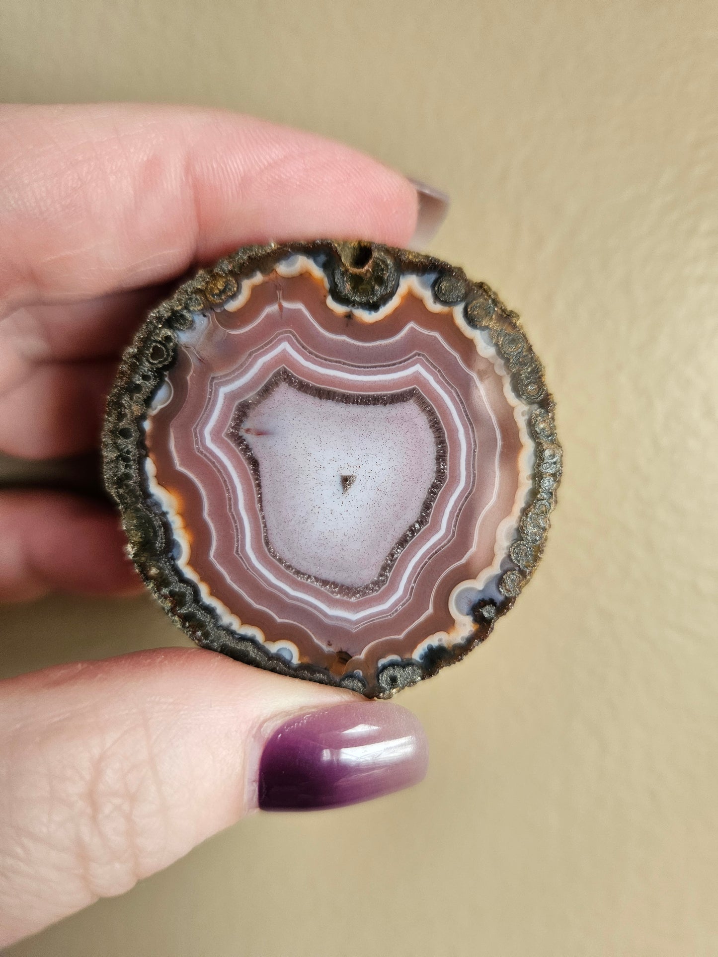 Zahnguo Agate Pair 240