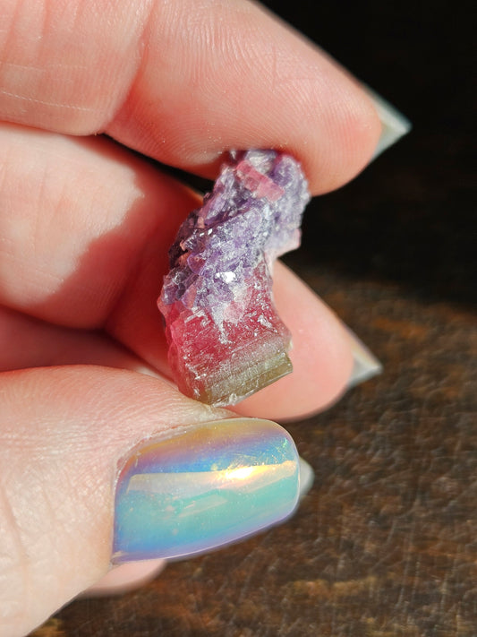 Lepidolite on Watermelon Tourmaline