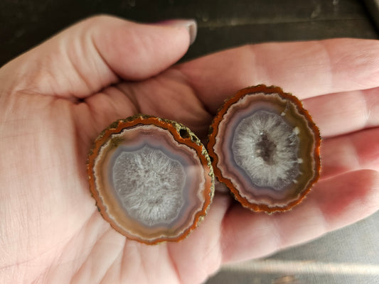 Zahnguo Agate Pair 100