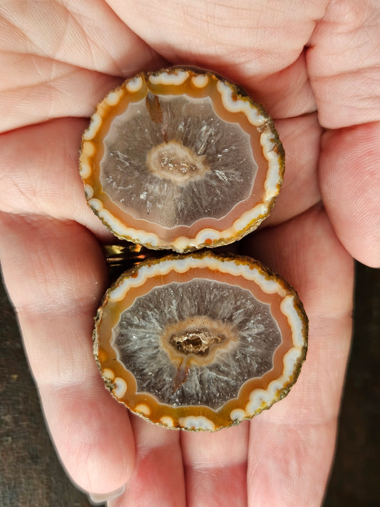 Zahnguo Agate Pair 102