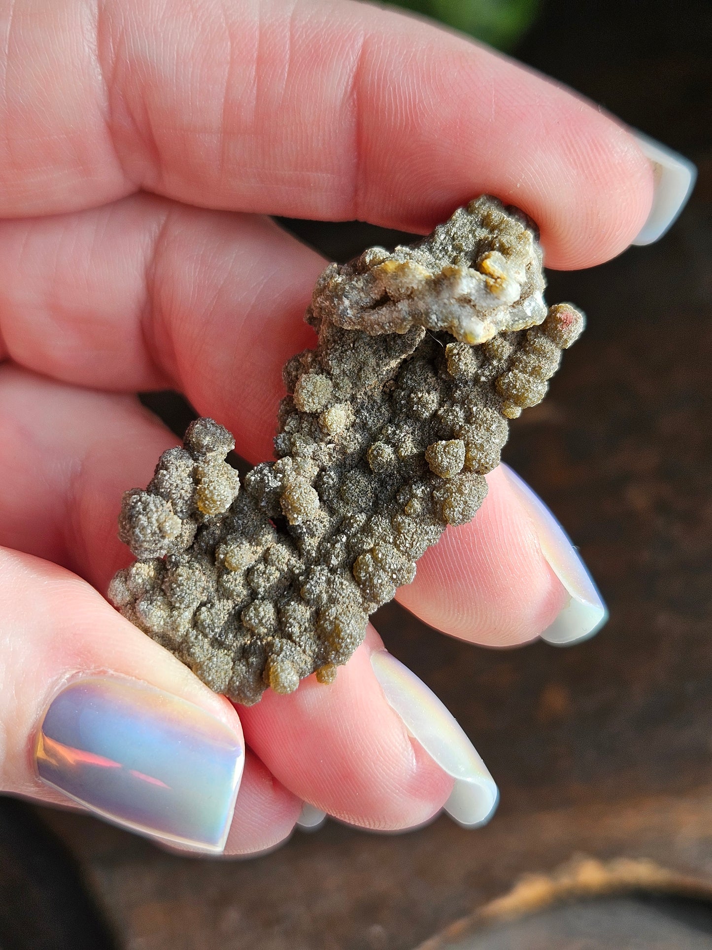 Botryoidal Chalcedony