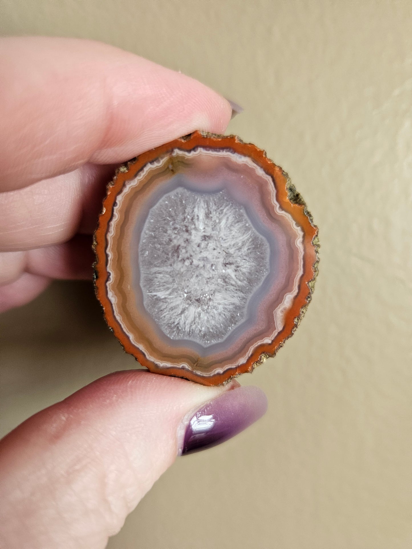 Zahnguo Agate Pair 100