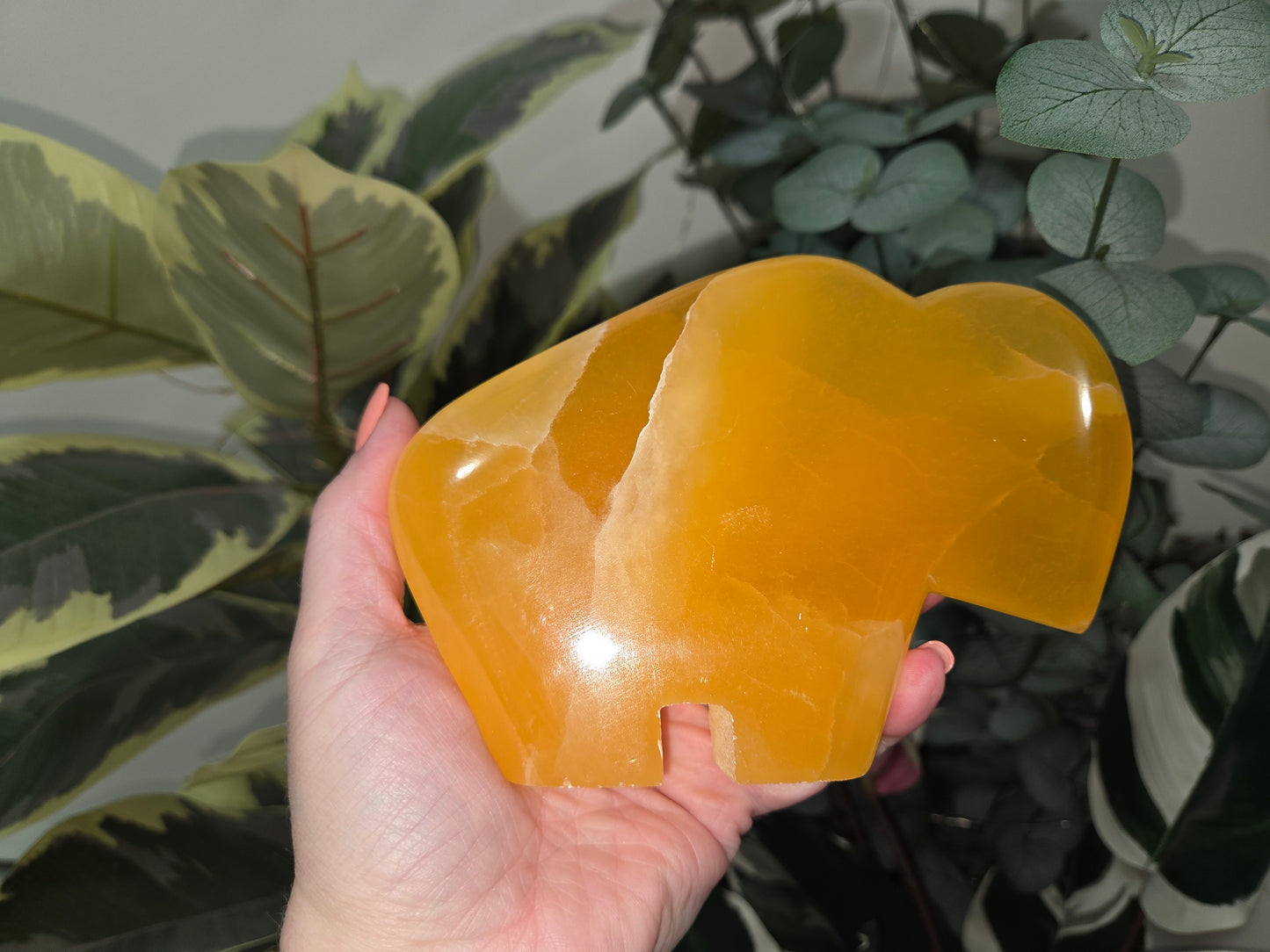 Orange Calcite Buffalo / Bison - Large