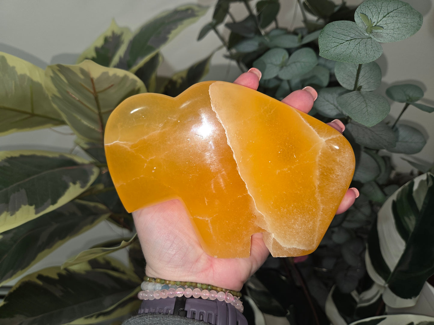 Orange Calcite Buffalo / Bison - Large
