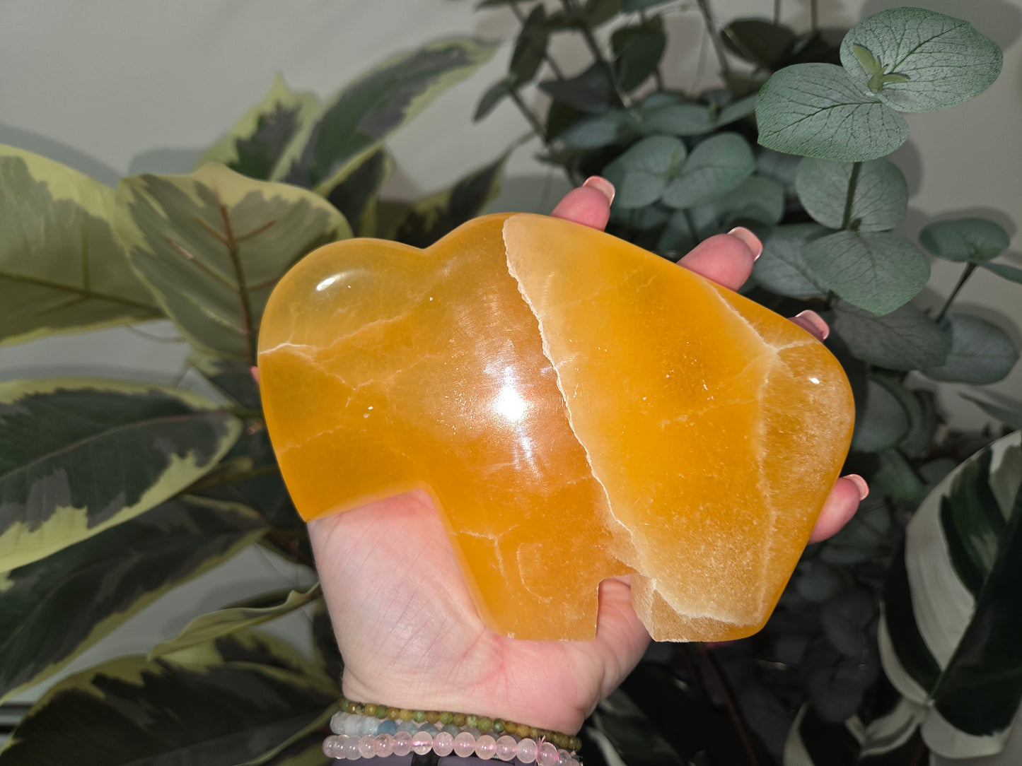 Orange Calcite Buffalo / Bison - Large