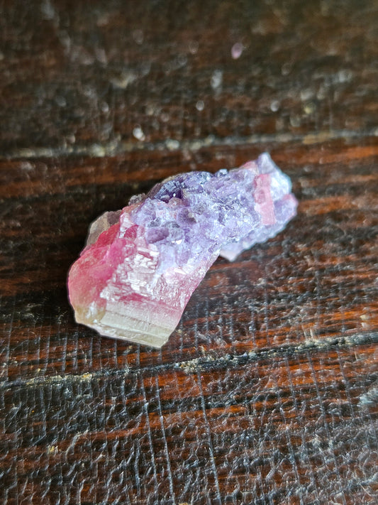 Lepidolite on Watermelon Tourmaline