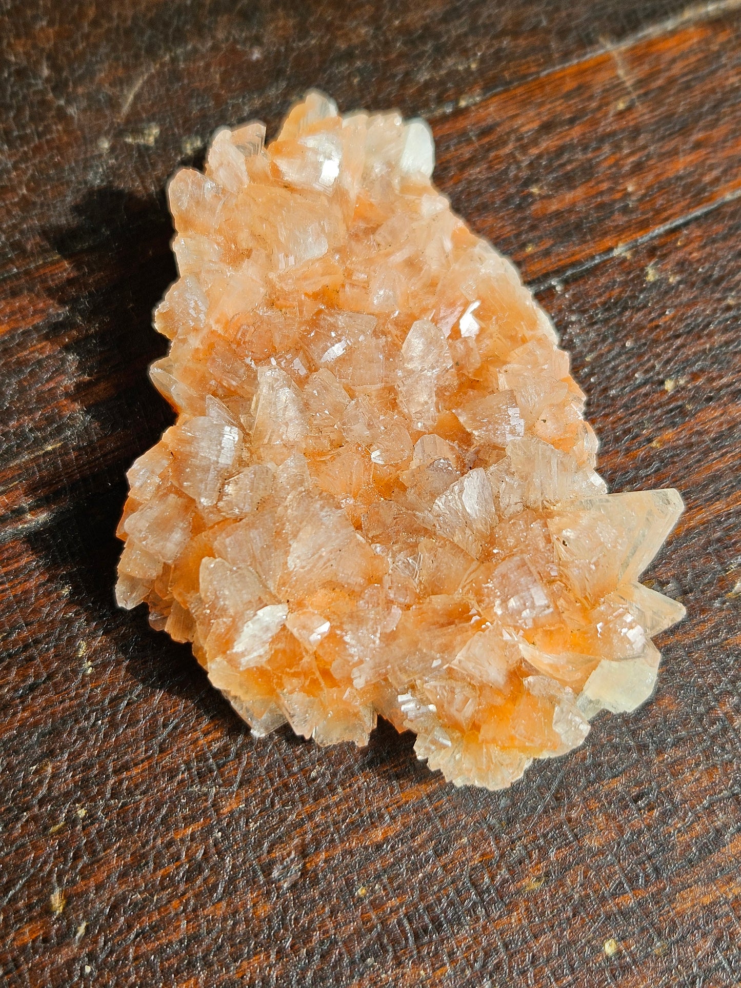 Indian Zeolite - You Choose