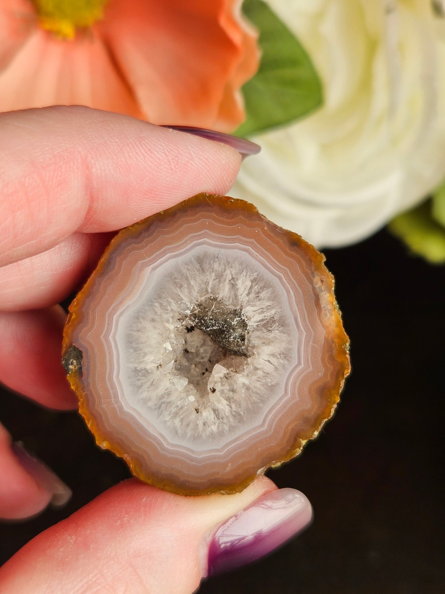 Zahnguo Agate Pair 116
