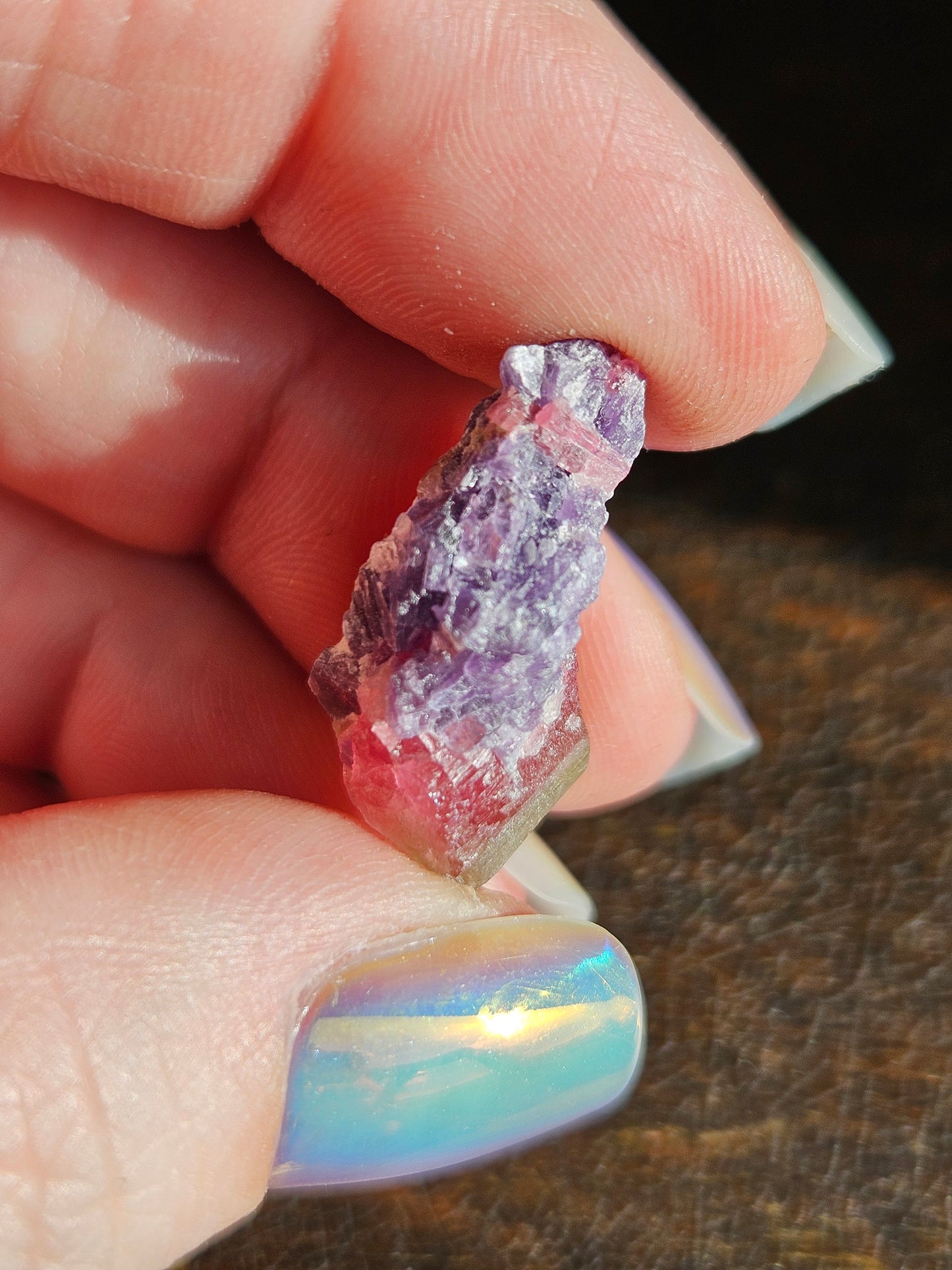 Lepidolite on Watermelon Tourmaline
