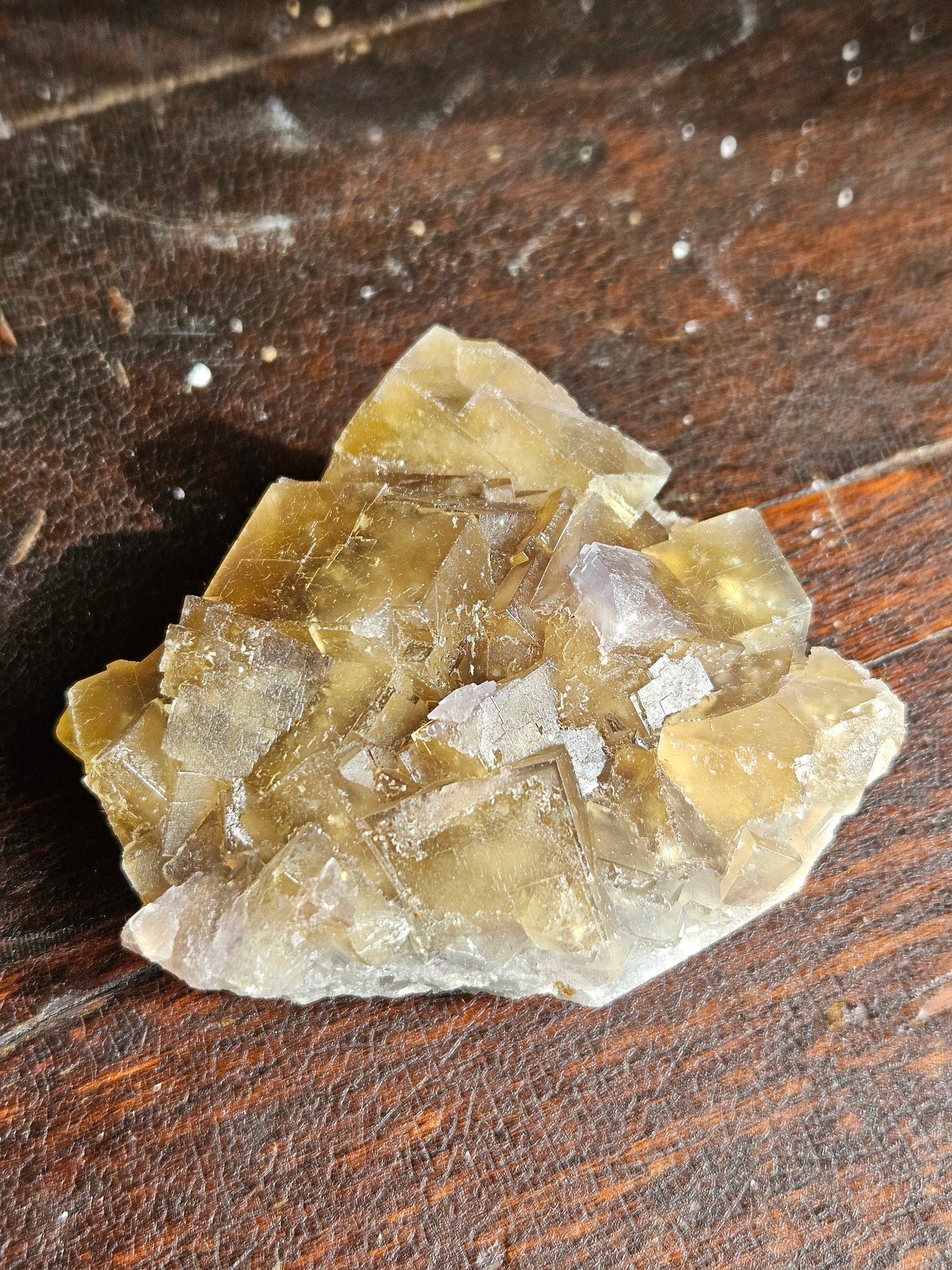 Fluorite, Olive Green, Beijing Locale
