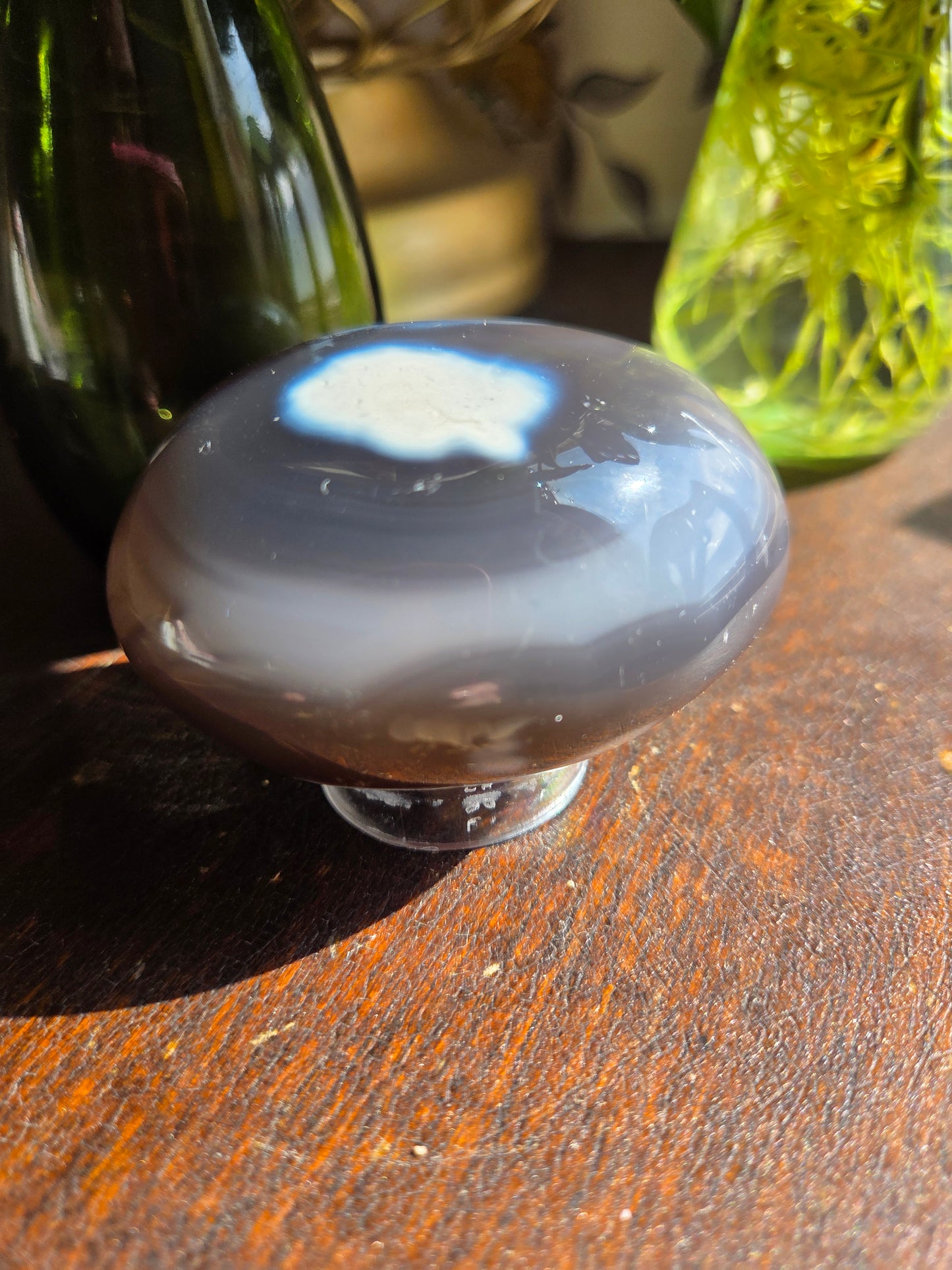 Orca Agate Palm D