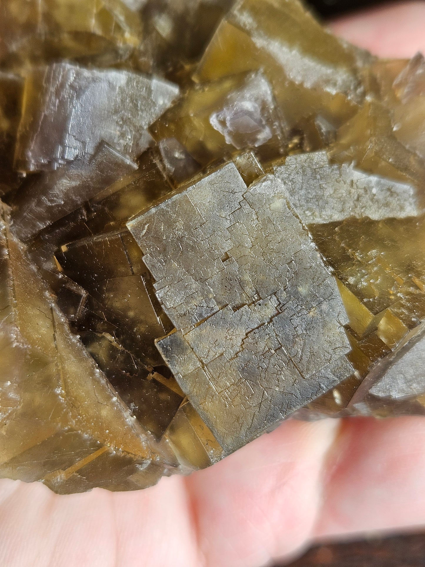 Fluorite, Olive Green, Beijing Locale
