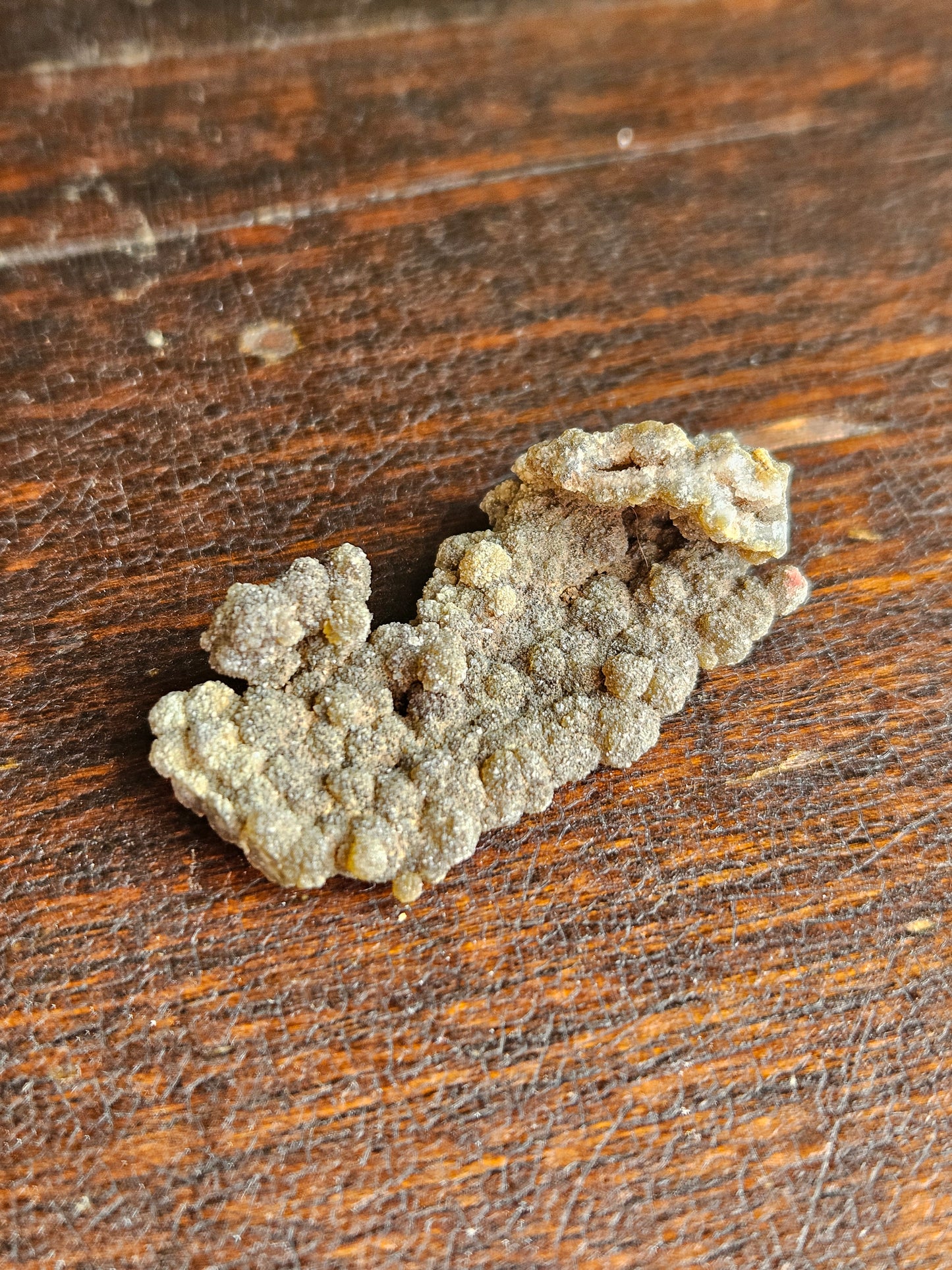 Botryoidal Chalcedony