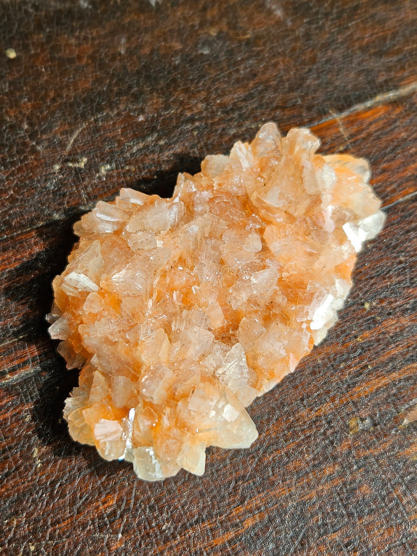 Indian Zeolite - You Choose
