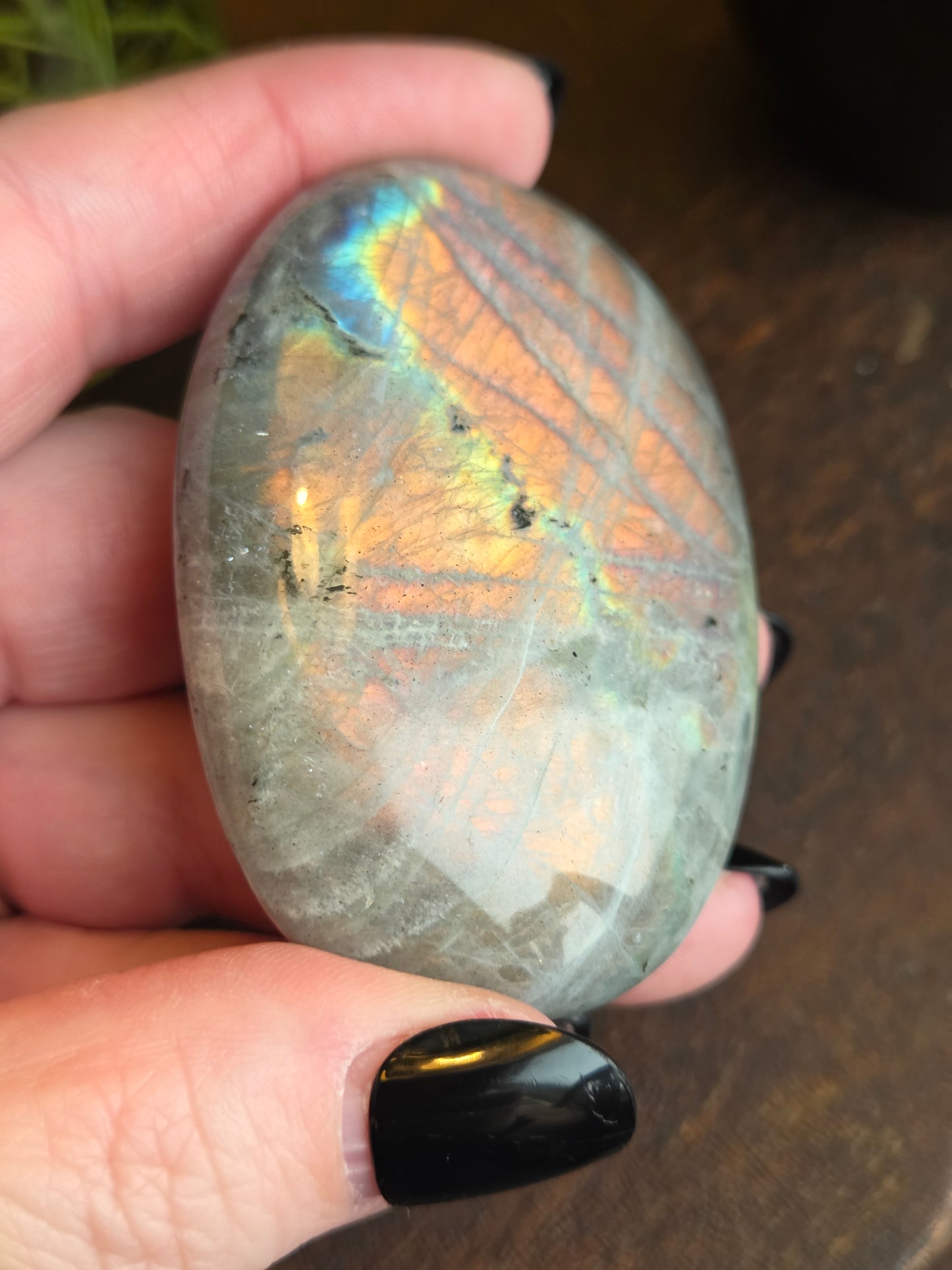 Labradorite Sunset Orange Oilslick D