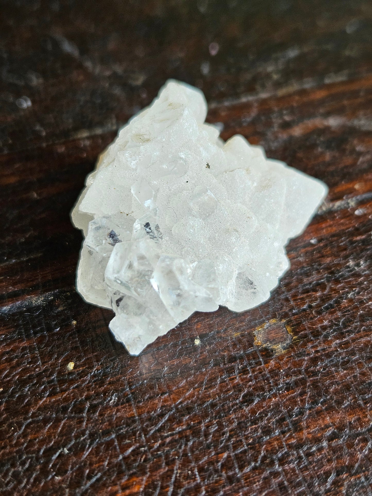 Quartz with Tourmaline Rutile