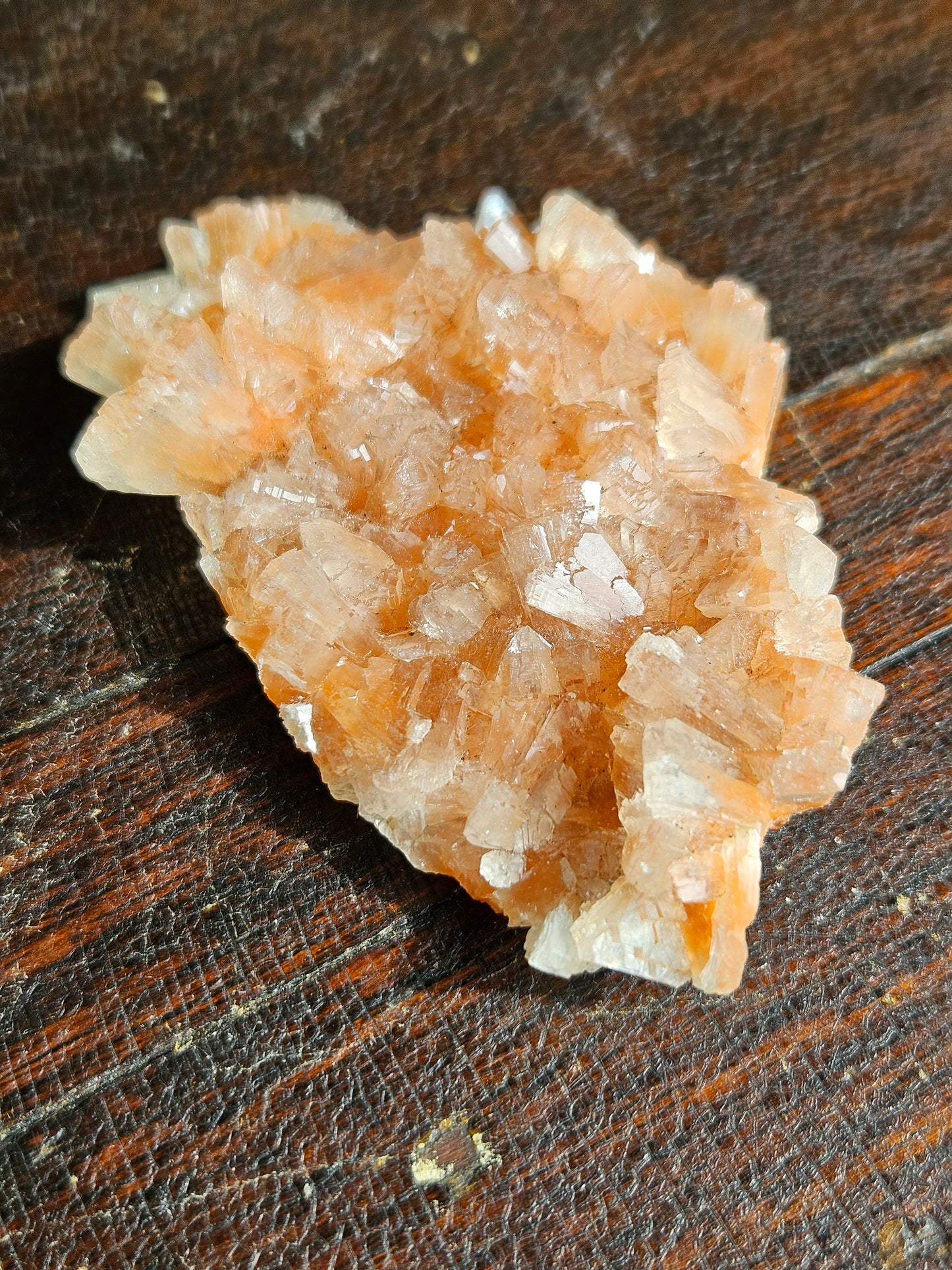 Indian Zeolite - You Choose