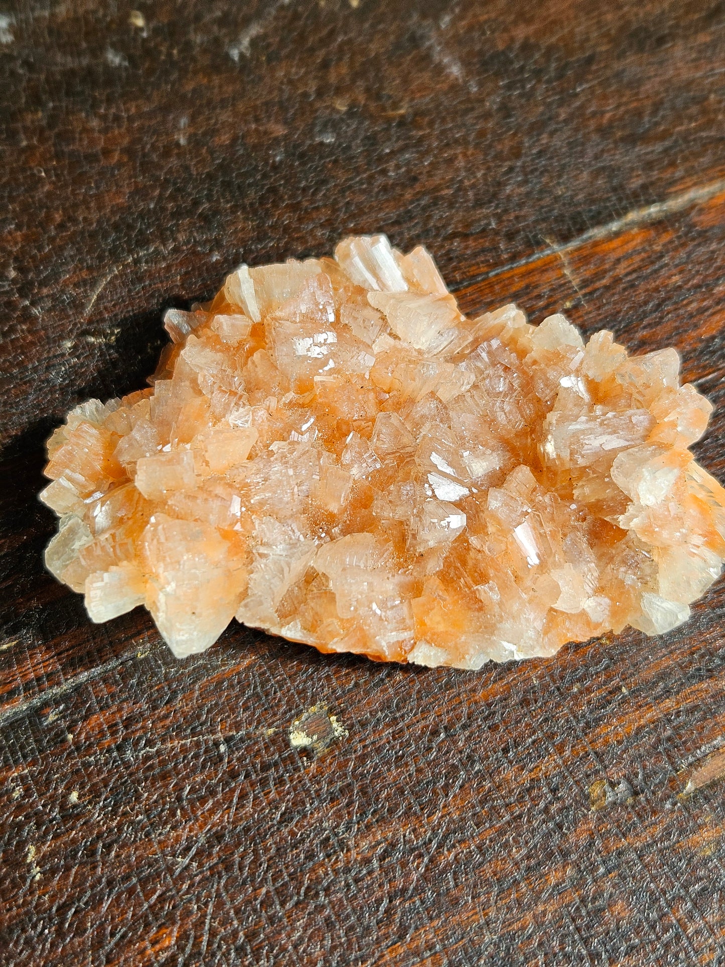 Indian Zeolite - You Choose
