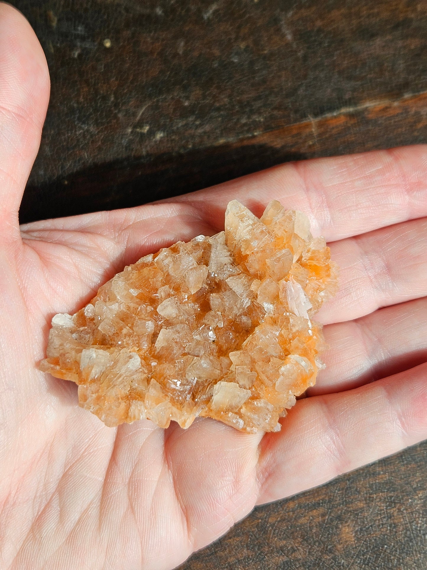 Indian Zeolite - You Choose