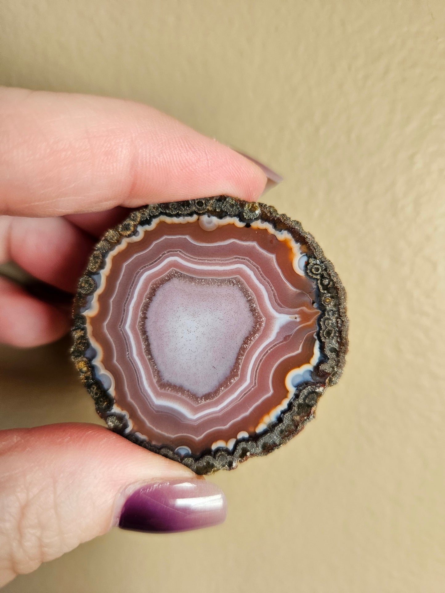 Zahnguo Agate Pair 240