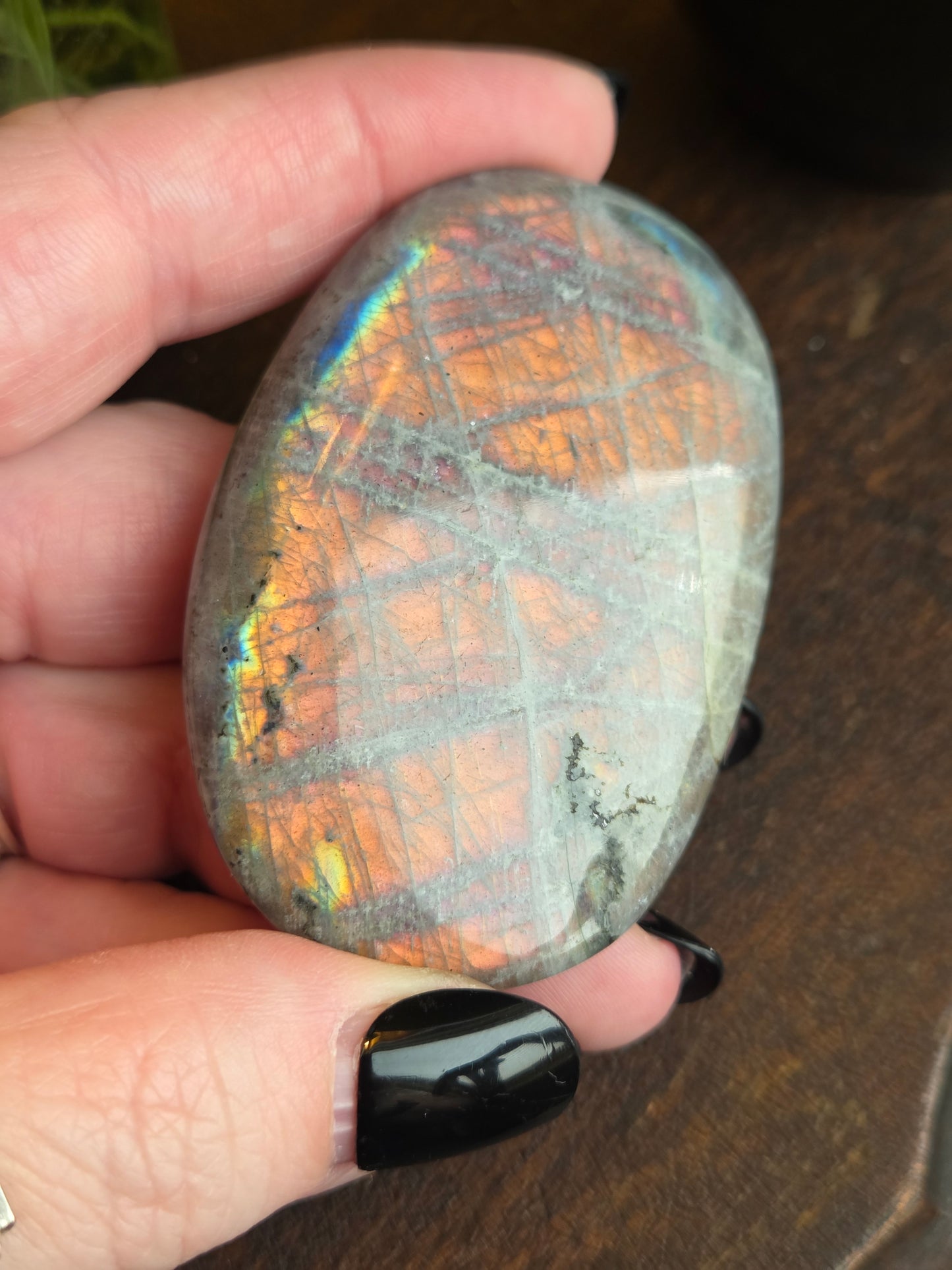 Labradorite Sunset Orange Oilslick D