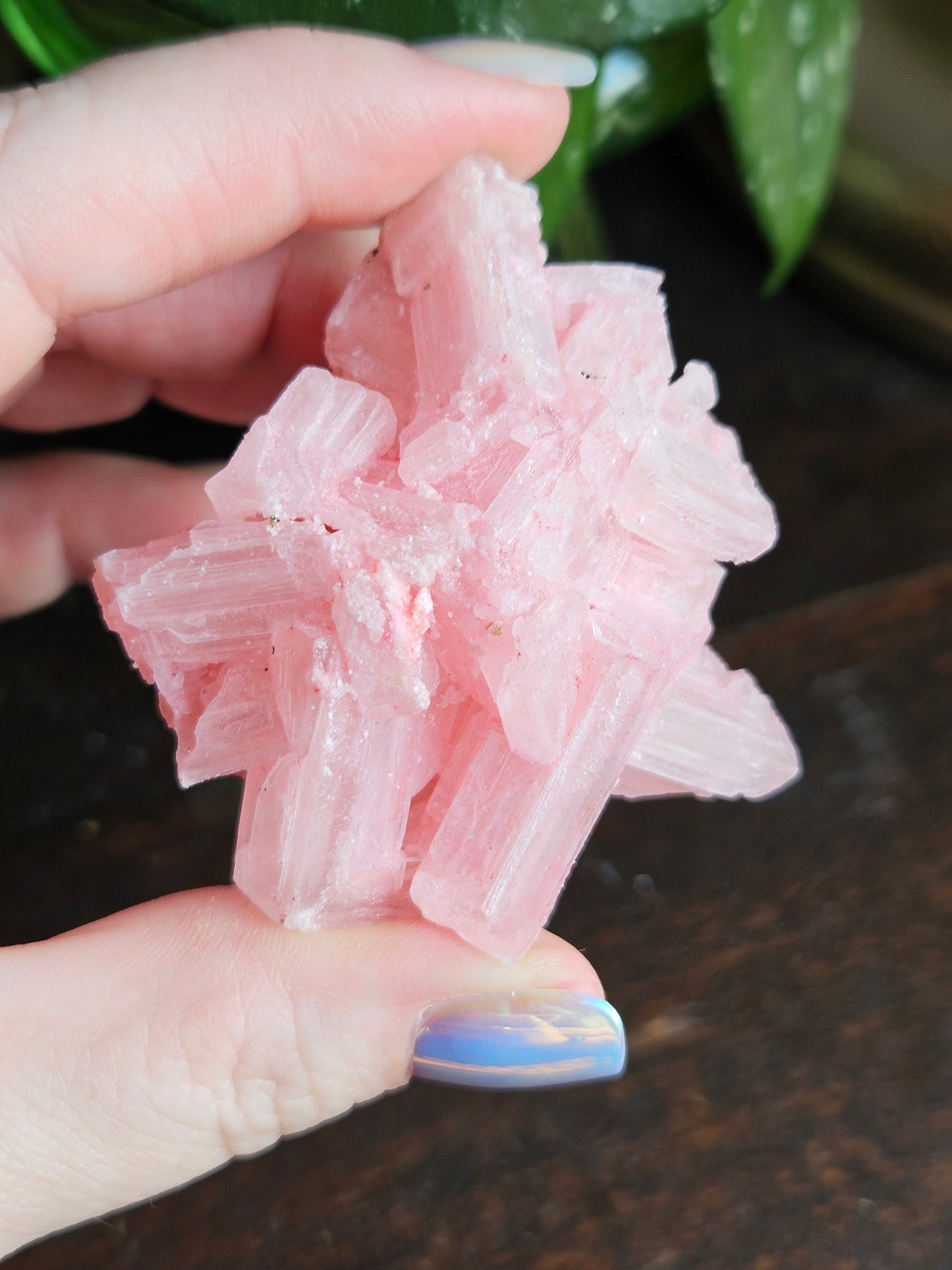 Pink Halite- Owen's Lake