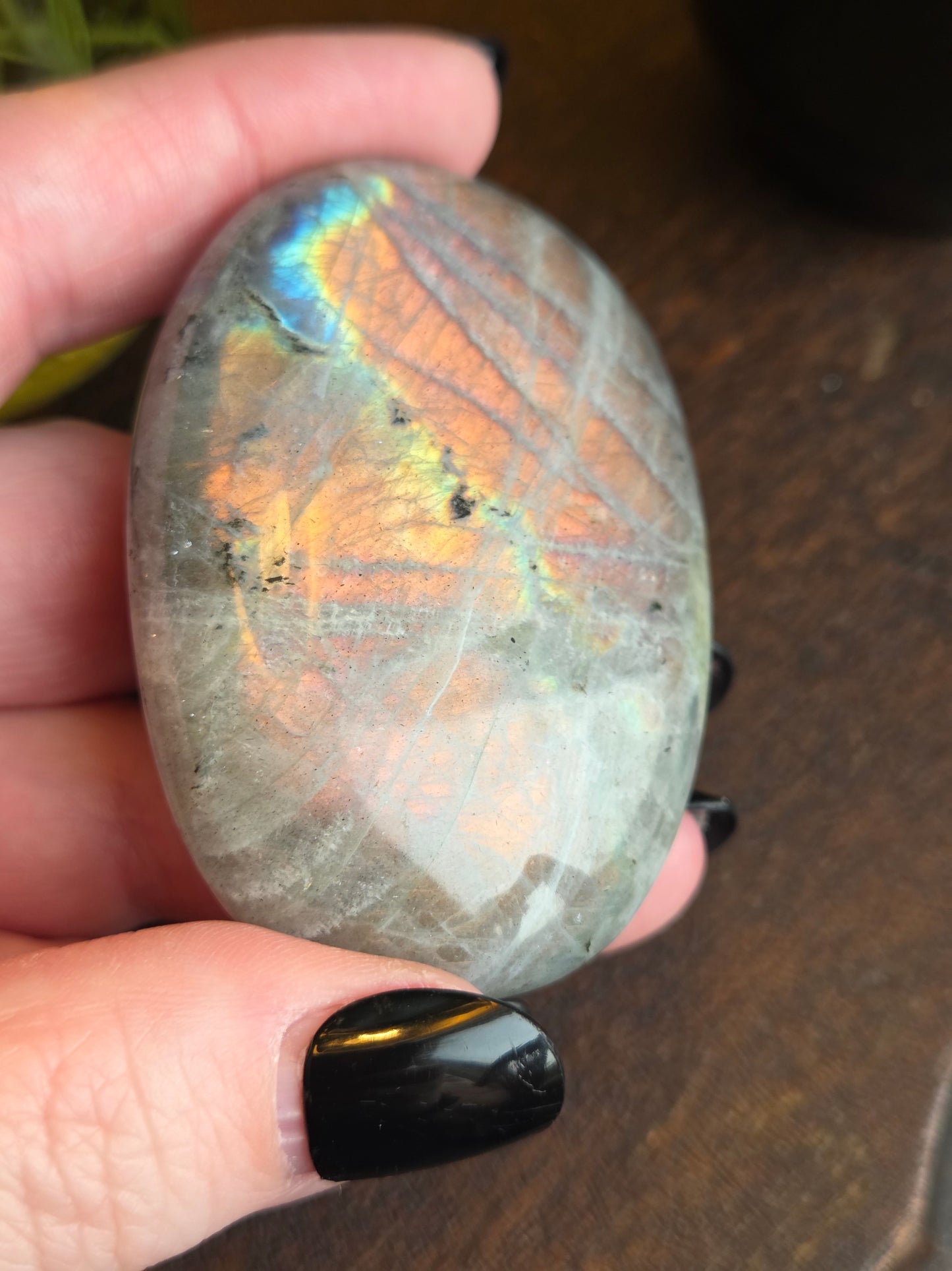Labradorite Sunset Orange Oilslick D