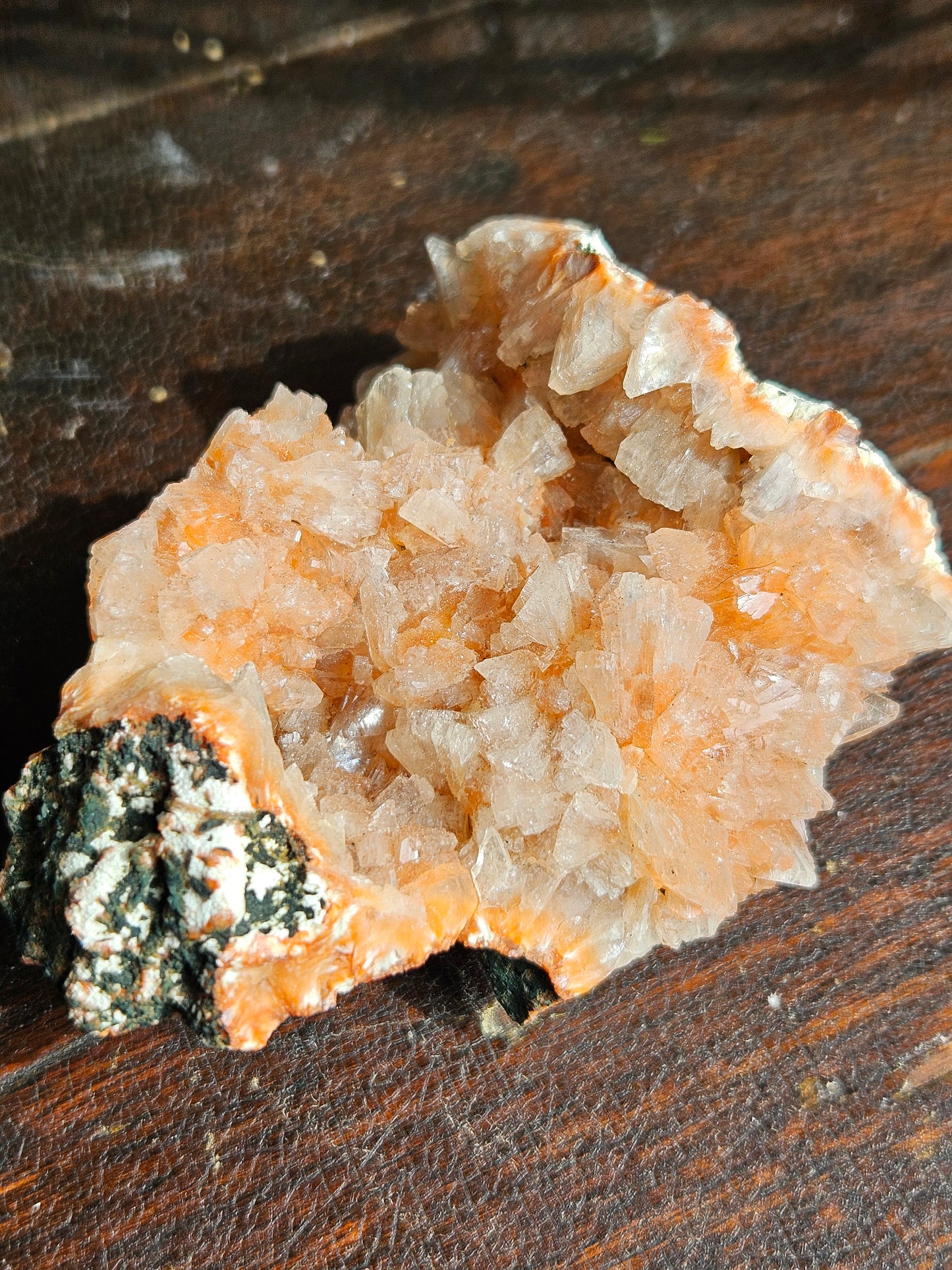 Indian Zeolite - You Choose