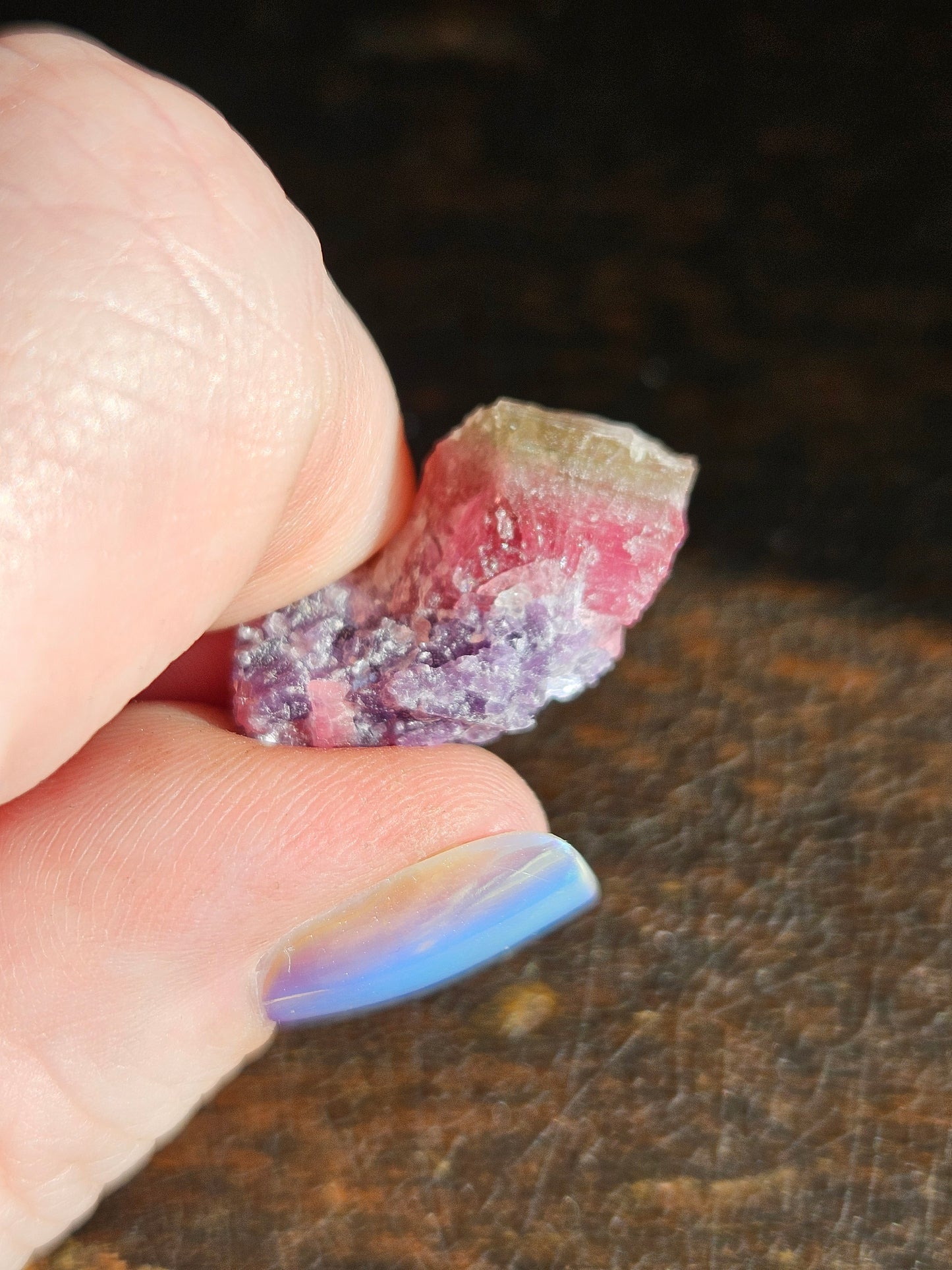 Lepidolite on Watermelon Tourmaline
