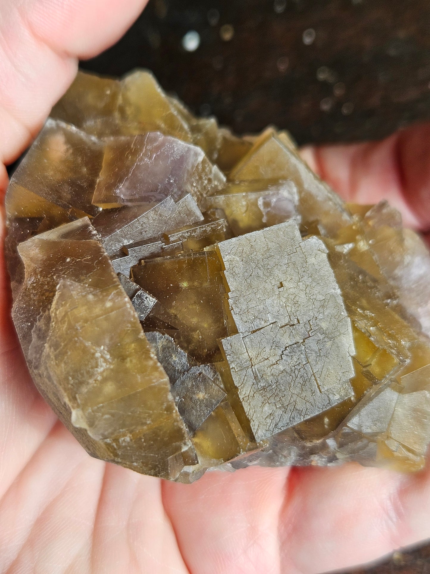 Fluorite, Olive Green, Beijing Locale