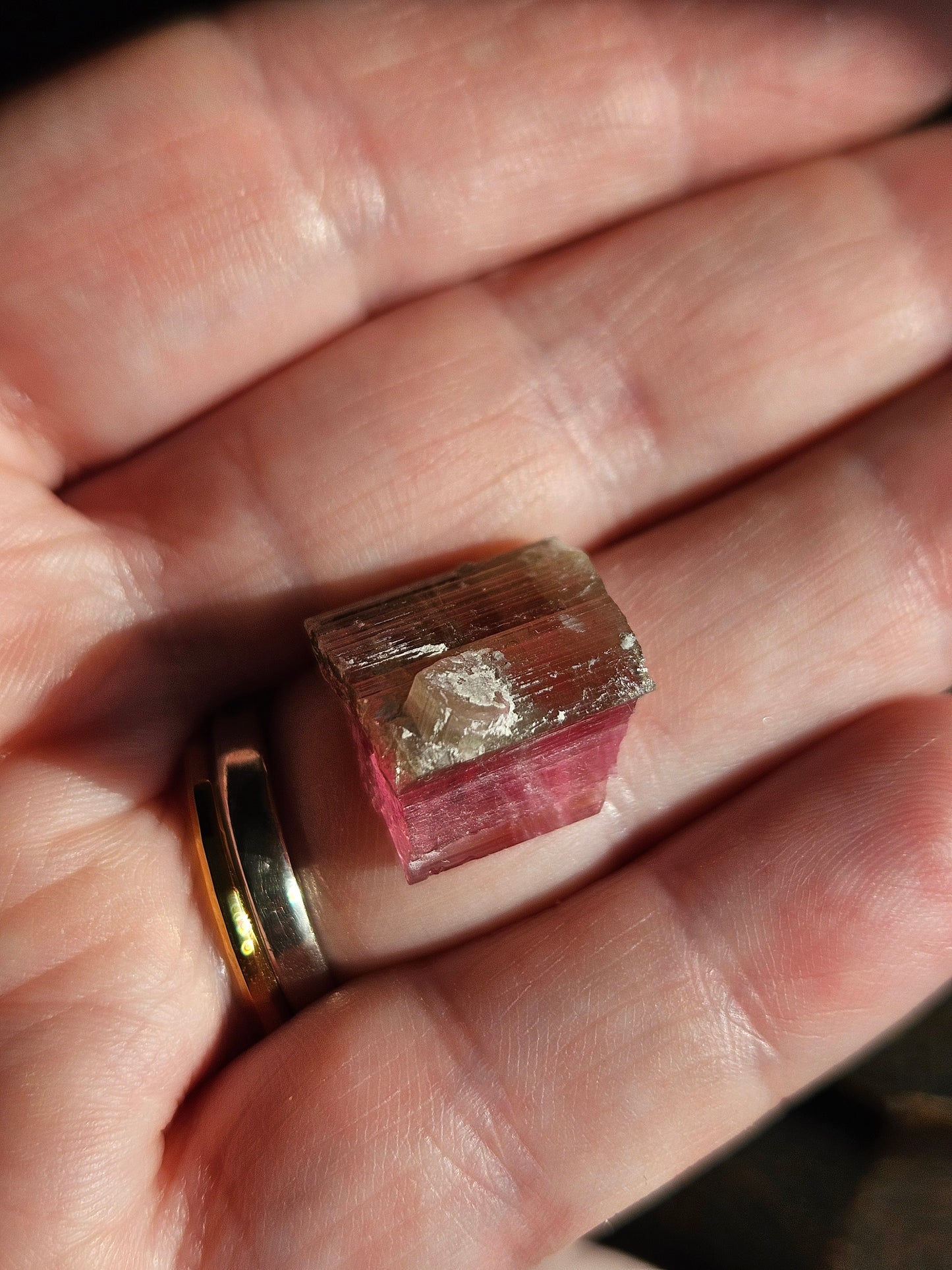 Watermelon Tourmaline-Perfect Slice