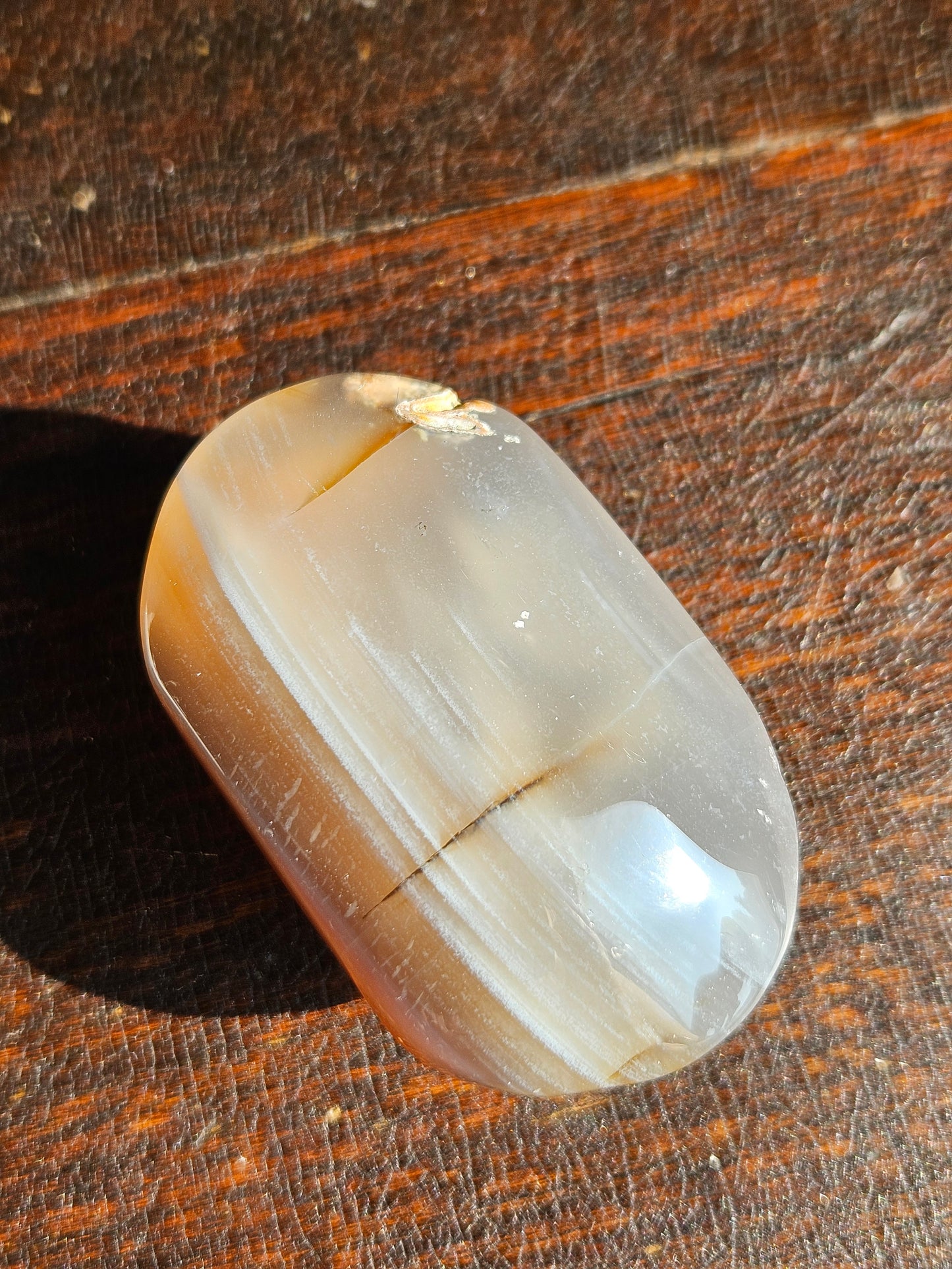 Swazi Agate Palm A