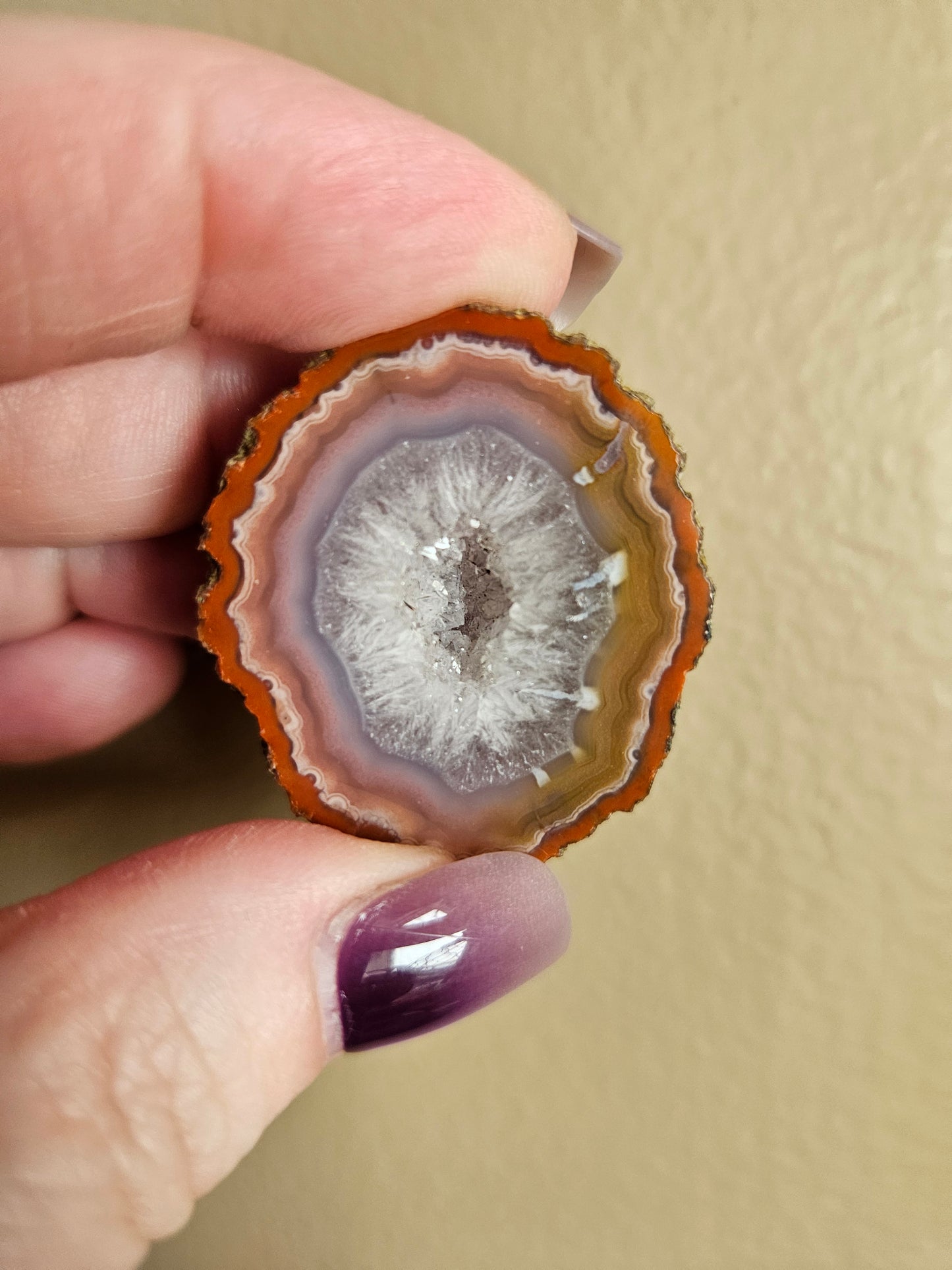 Zahnguo Agate Pair 100